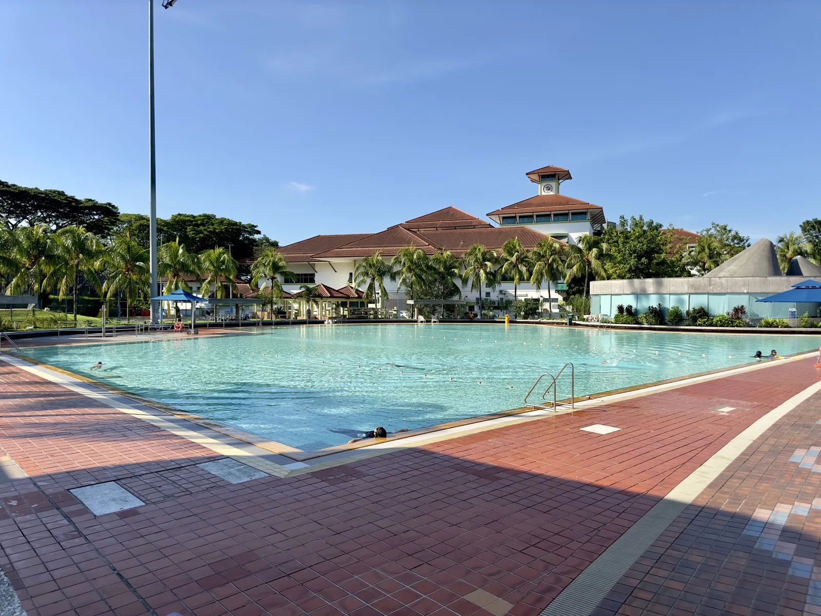 Wide view across an open-air pool at Yio Chu Kang Swimming Complex on a sunny morning